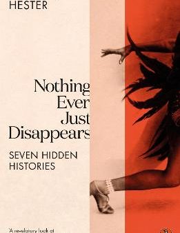 Diarmuid Hester: Nothing Ever Just Disappears [2024] paperback Cheap