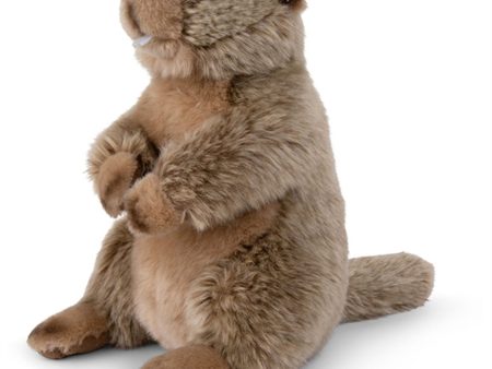 Bon Ton Toys WWF Plush Marmots 23 cm Sale