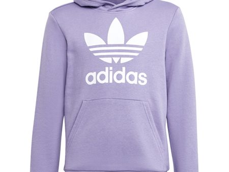 adidas Originals Maglil Trefoil Hoodie Online