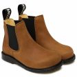 Angulus Chelsea Boots With Elastic Cognac Black For Sale