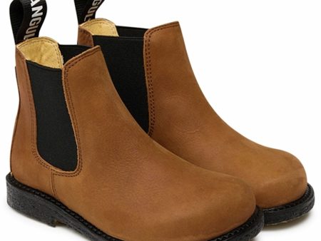 Angulus Chelsea Boots With Elastic Cognac Black For Sale