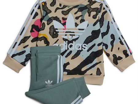 adidas Originals Beige   Multi Color Sweatsuit Sale