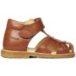 Angulus Starter Sandal W. Velcro Cognac Online now