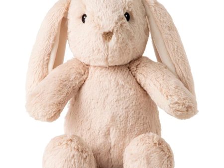 Cloud B Billy Bunny With Sound Discount