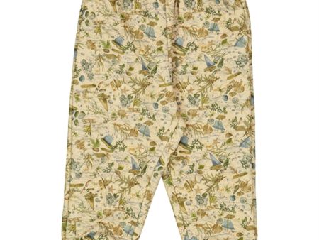 Wheat Thermo Clam Beach Pants Alex Online