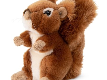 Bon Ton Toys WWF Plush Squirrel 15 cm Hot on Sale