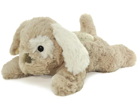 Cloud B Dream Buddies Puppy Fashion